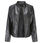 Chic High Collar Zip Jacket