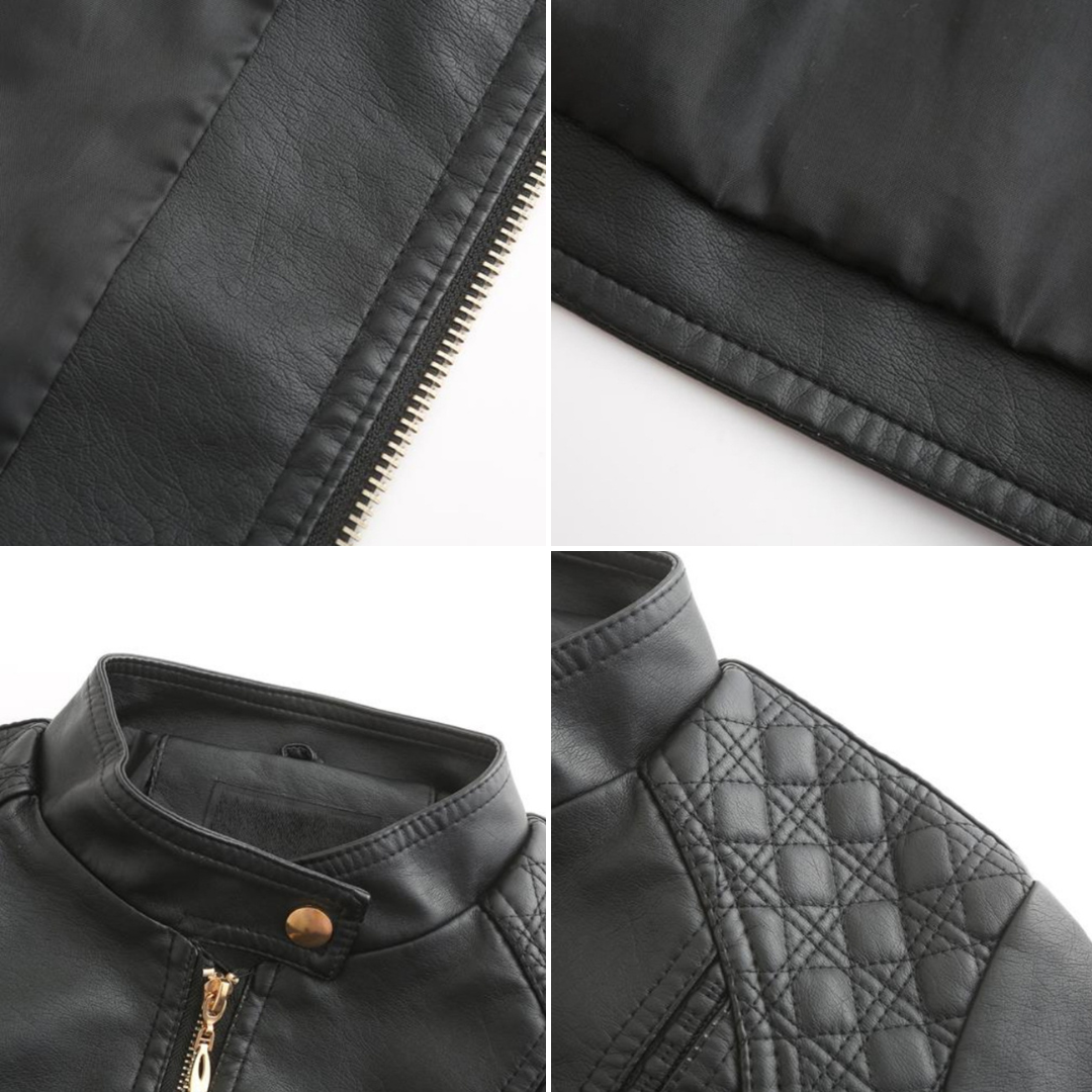 Chic High Collar Zip Jacket