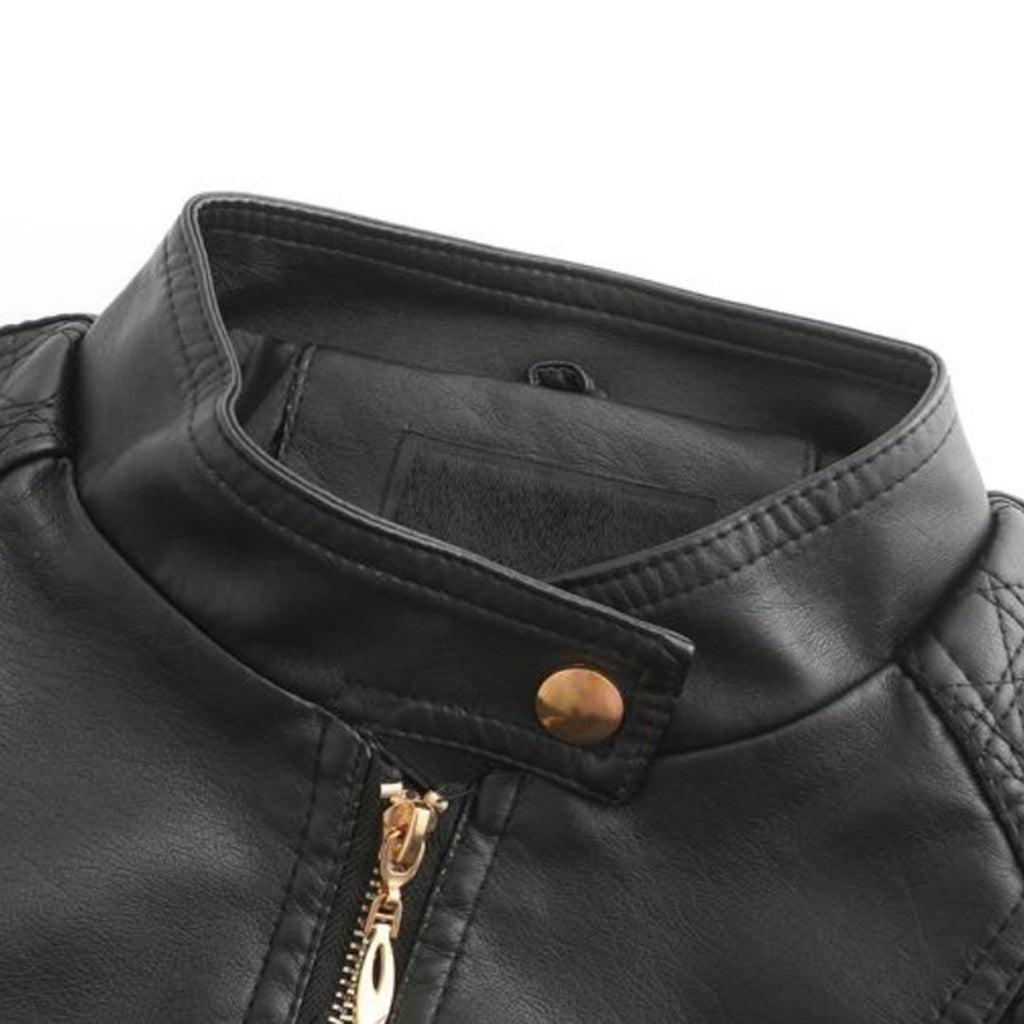 Chic High Collar Zip Jacket