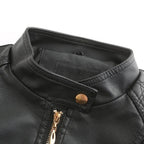 Chic High Collar Zip Jacket