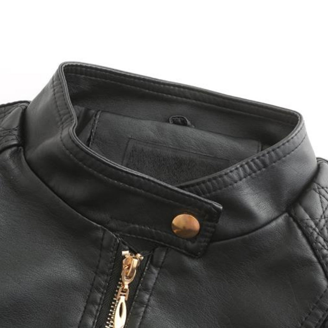 Chic High Collar Zip Jacket