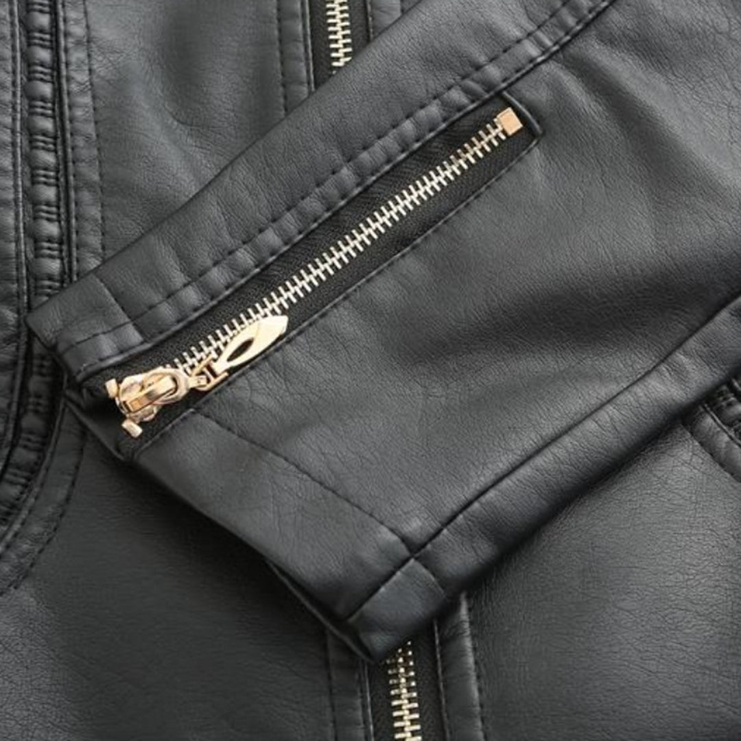 Chic High Collar Zip Jacket
