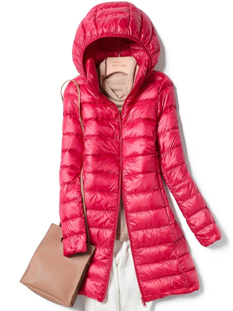 Lightweight Waterproof Padded Winter Jacket