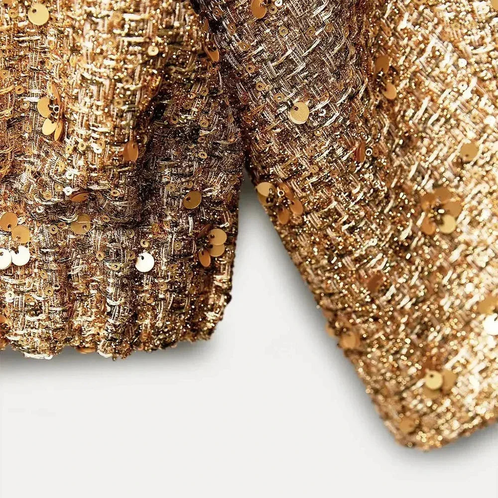 Chic Elegant Sequined Party Jacket
